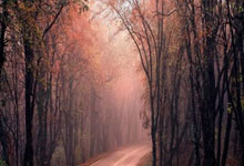 DB gaming-一粒进球震三狮！德布劳内绝杀西班牙引爆英超争冠核裂变