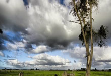 DB彩票官网-公牛逆转福建队，戈贝尔状态火热