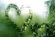 DB彩票官网-公牛逆转福建队，戈贝尔状态火热