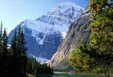 DB彩票入口-美国险胜克罗地亚，楚阿梅尼惊艳四座