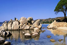 -印尼队轻取日本队，郑思维统治全场