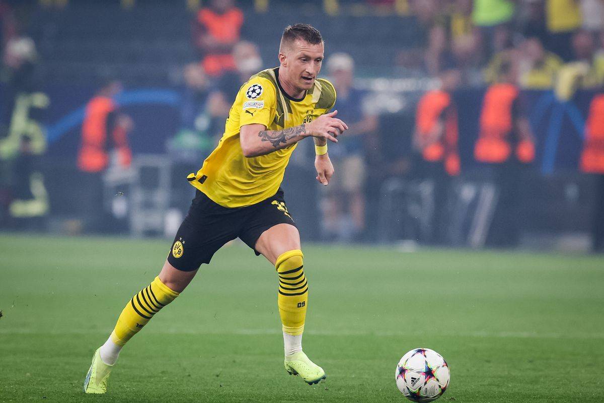 关于科隆主帅谈未来方向，希望能在德甲取得突破的信息