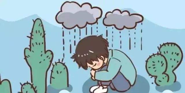 -雷恩遭遇失败，需总结教训的简单介绍