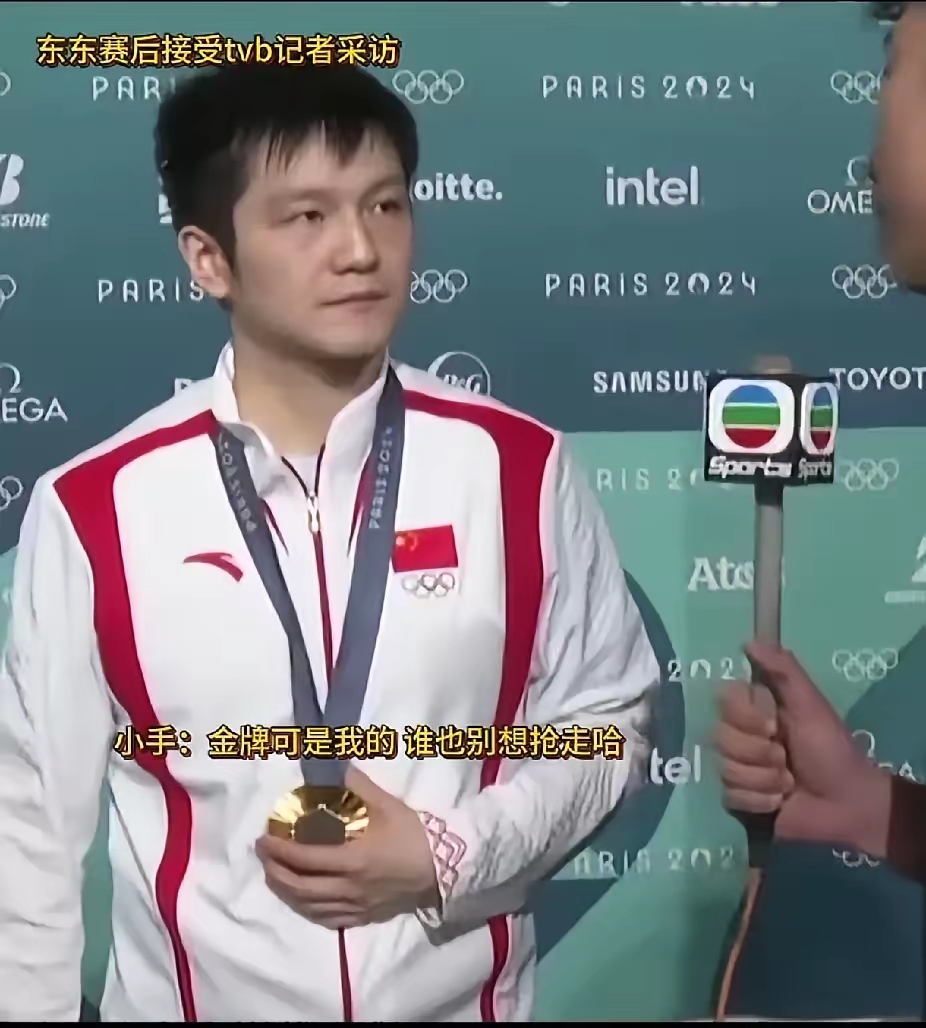 丹麦男子乒乓球选手意外获得铜牌的简单介绍