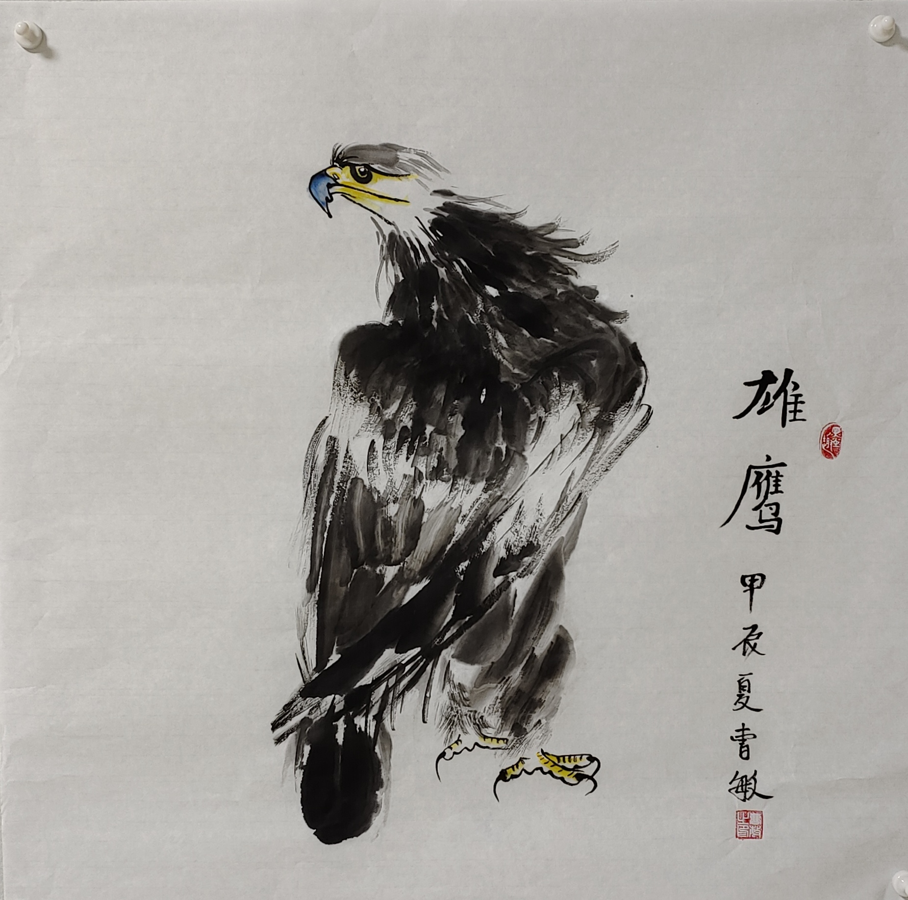 包含老鹰大胜公牛，喜迎胜利表现出色的词条