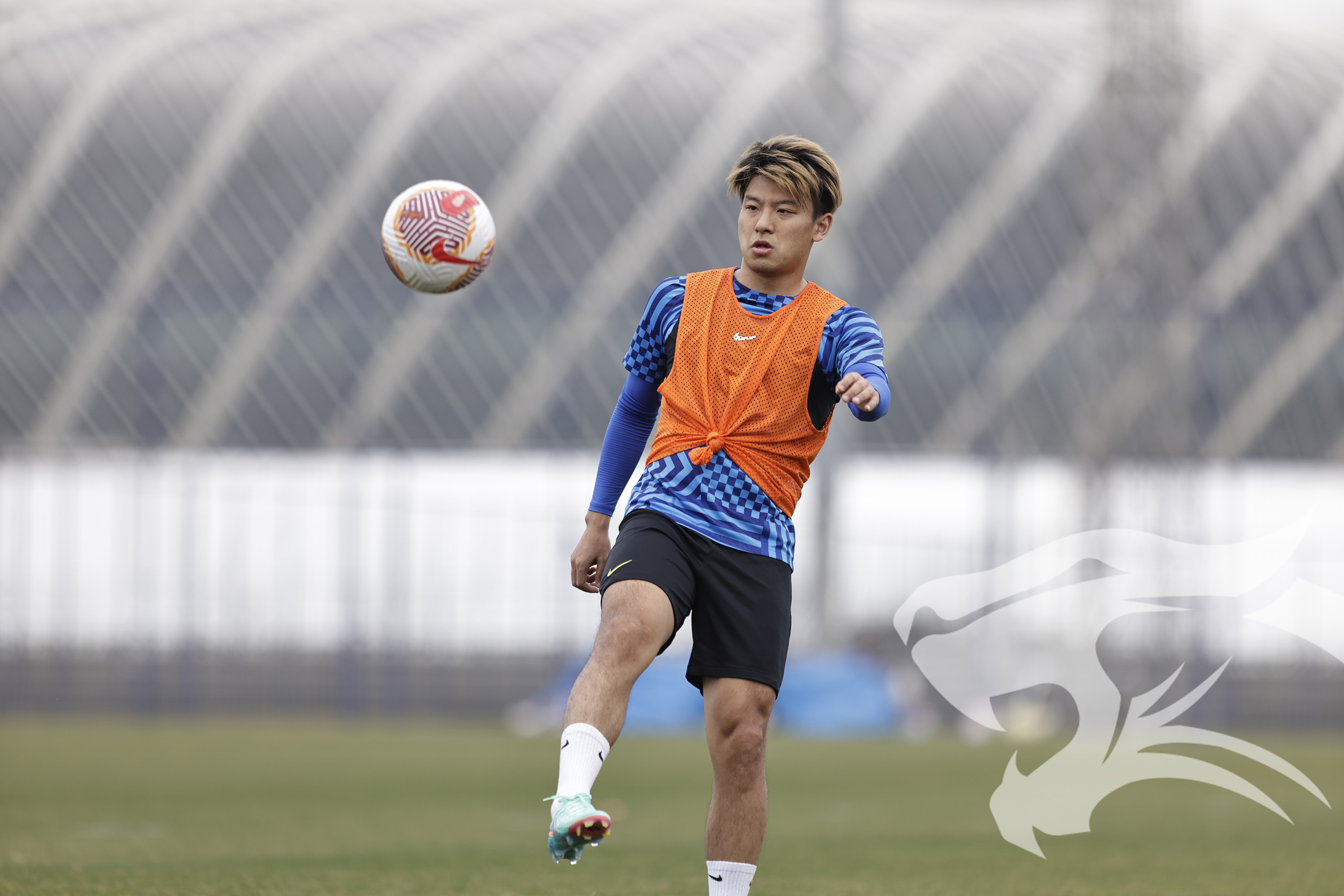 -球队备战有方，决心夺得胜利的简单介绍