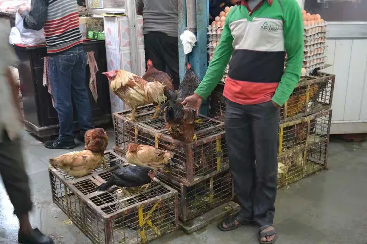 印度篮球联赛火爆进行中场休息展示绝活